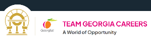 Team Georgia Careers